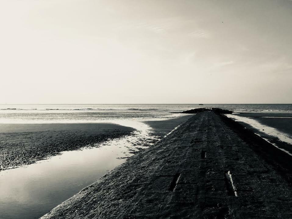 Meeuwenbank Appartement Nieuwpoort Buitenkant foto